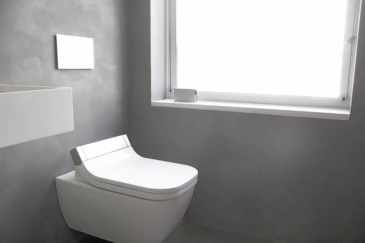 Smart wall mounted toilet
