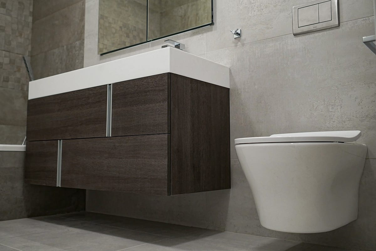 Wall Mounted Toilet and Vanity